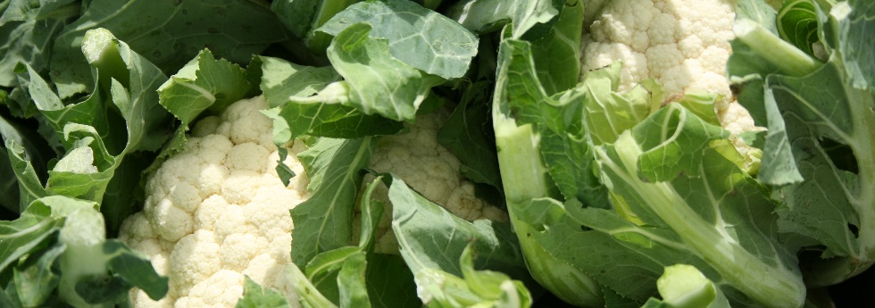 cauliflower-category.jpg