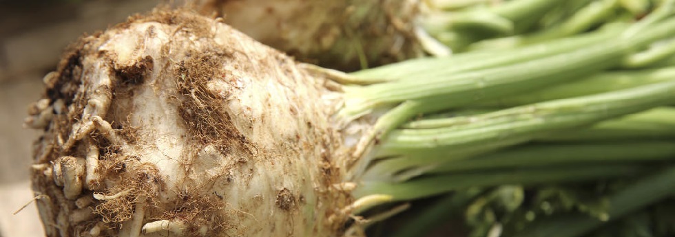 celeriac-category-1.jpg