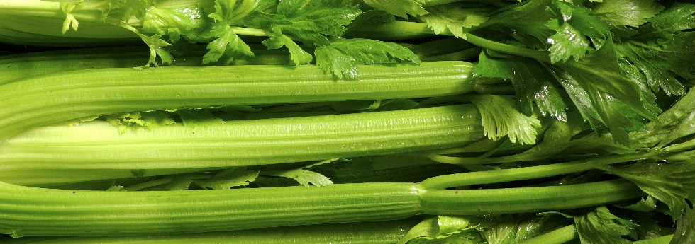 celery-category.jpg