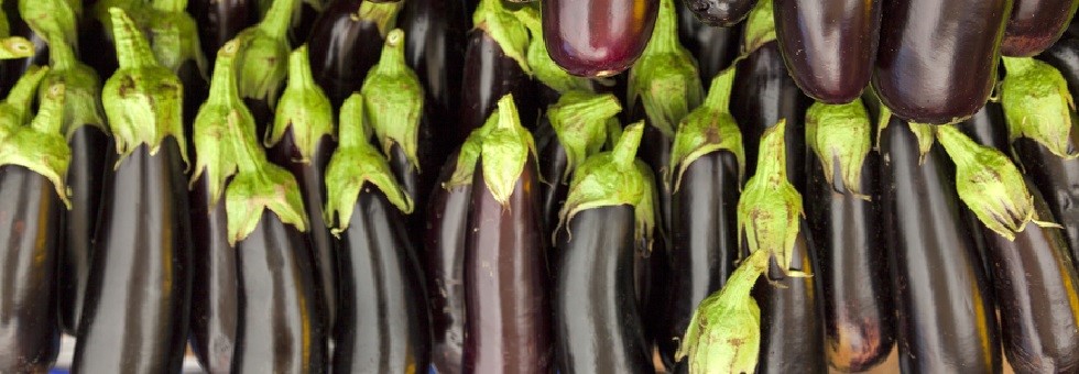 eggplant-category-1.jpg