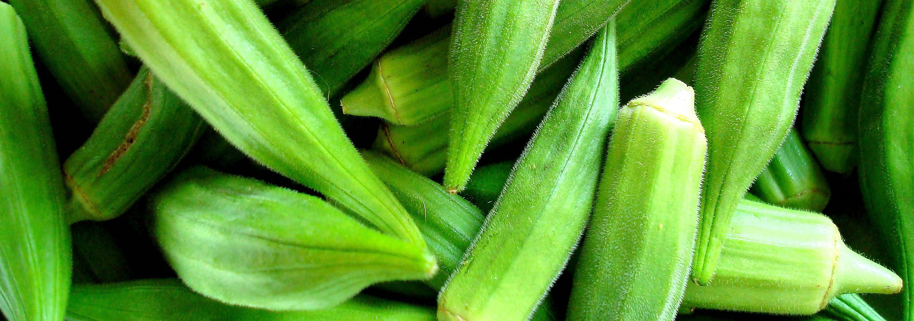 okra-category.jpg