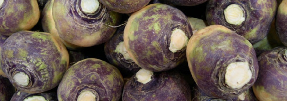 rutabaga-category.jpg