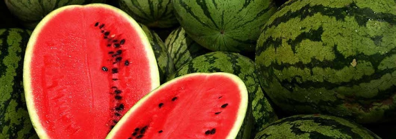 watermelon-category.jpg